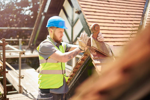 Roof Gutter Cleaning in Fairview, TX