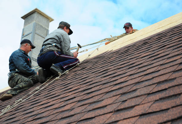 Best Roof Gutter Cleaning  in Fairview, TX